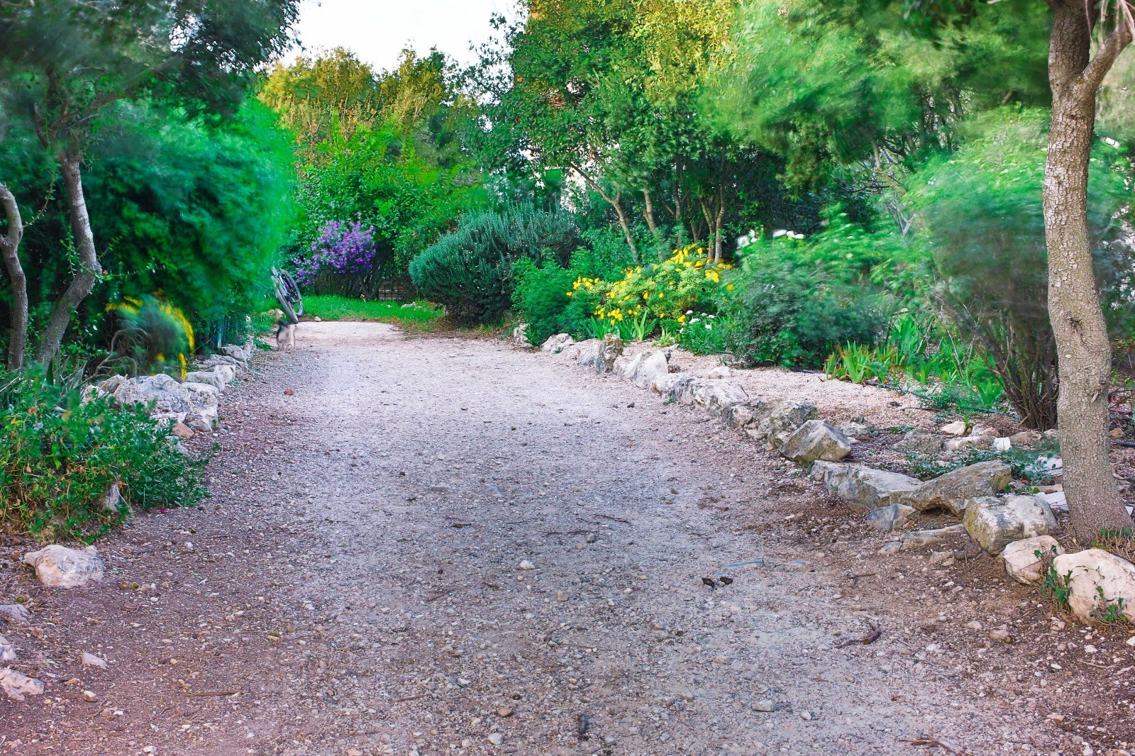 הבית על ההר הררית