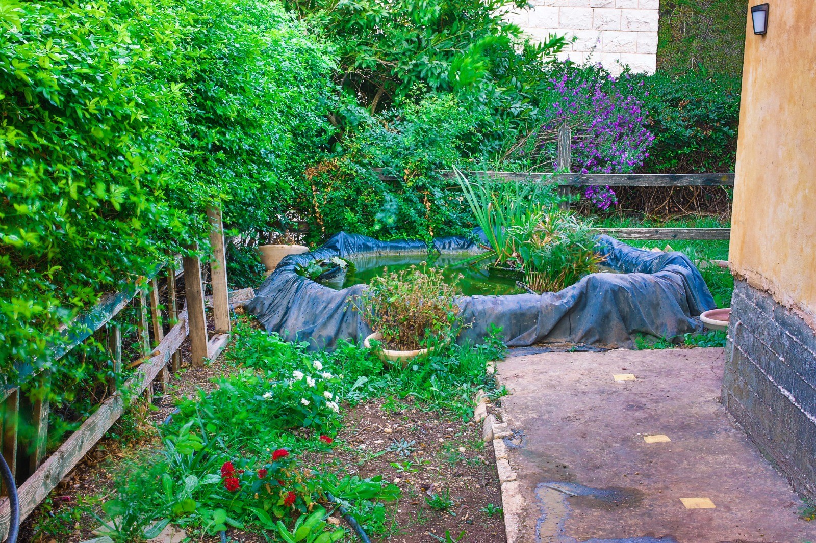 הבית על ההר הררית