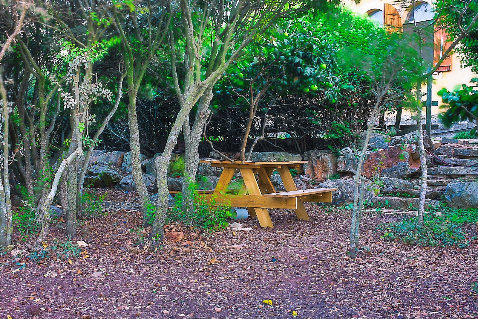 הבית על ההר הררית